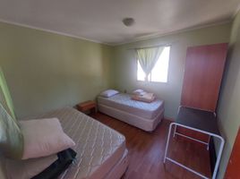 20 Schlafzimmer Haus zu vermieten in Copiapo, Atacama, Copiapo, Copiapo