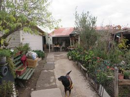 5 Schlafzimmer Haus zu verkaufen in Cordillera, Santiago, Pirque