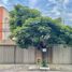 Maison 4 chambre à vendre à Zapopan, Jalisco, Zapopan
