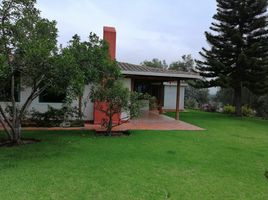 3 Habitación Casa en alquiler en Cumbaya, Quito, Cumbaya