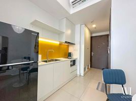 1 Phòng ngủ Chung cư for rent in Phường 12, TP.Hồ Chí Minh, Phường 12