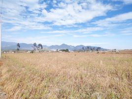  Land for sale in Malchingui, Pedro Moncayo, Malchingui