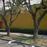 4 Schlafzimmer Haus zu verkaufen in Naucalpan De Juarez, Mexico, Naucalpan De Juarez