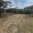  Land for sale in Yecapixtla, Morelos, Yecapixtla