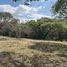  Land for sale in Yecapixtla, Morelos, Yecapixtla