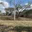  Land for sale in Yecapixtla, Morelos, Yecapixtla