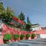 4 Schlafzimmer Haus zu verkaufen in Naucalpan De Juarez, Mexico, Naucalpan De Juarez