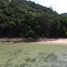  Land for sale in San Vicente, Mimaropa, San Vicente, Palawan, Mimaropa