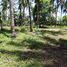  Land for sale in Carmen, Cebu, Carmen