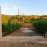  Terreno (Parcela) en venta en Manglaralto, Santa Elena, Manglaralto, Santa Elena, Santa Elena