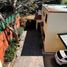 3 Bedroom House for sale in Alvaro Obregon, Mexico City, Alvaro Obregon