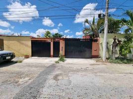 在Yucatan出租的2 卧室 屋, Merida, Yucatan