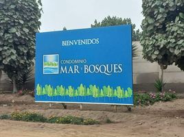  Grundstück zu verkaufen in Punta Negra, Lima, Punta Negra, Lima, Lima