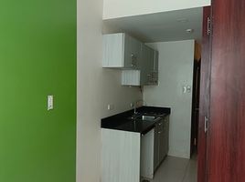 Studio Apartment for sale in Quirino LRT-1, Malate, Malate