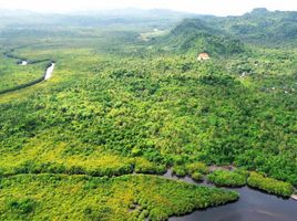  Terrain for sale in General Luna, Surigao del Norte, General Luna