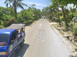  Land for sale in Carcar City, Cebu, Carcar City