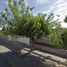 3 Bedroom House for sale in Juarez, Chihuahua, Juarez, Chihuahua
