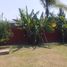 2 Schlafzimmer Haus zu verkaufen in Joquicingo, Mexico, Joquicingo