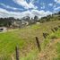  Land for sale in Valle, Cuenca, Valle