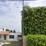 4 Schlafzimmer Haus zu verkaufen in Tlayacapan, Morelos, Tlayacapan