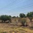 Land for sale in Rioverde, San Luis Potosi, Rioverde