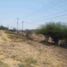  Land for sale in Rioverde, San Luis Potosi, Rioverde
