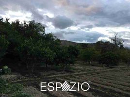  Land for sale in Guayllabamba, Quito, Guayllabamba