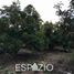  Land for sale in Guayllabamba, Quito, Guayllabamba