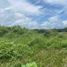 Terrain à vendre à Alvarado, Veracruz, Alvarado, Veracruz