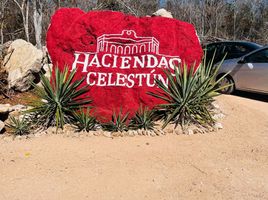  Land for sale in Kinchil, Yucatan, Kinchil
