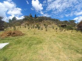  Land for sale in Nulti, Cuenca, Nulti