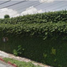 6 Bedroom House for sale in Cuernavaca, Morelos, Cuernavaca