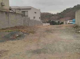  Land for sale in Daule, Guayas, Daule, Daule