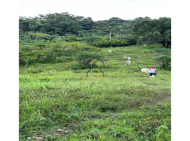  Land for sale in Tanay, Rizal, Tanay