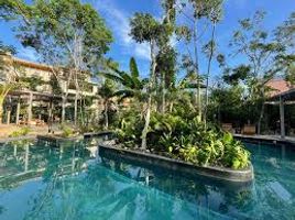 1 Bedroom Condo for sale in Cozumel, Quintana Roo, Cozumel, Quintana Roo