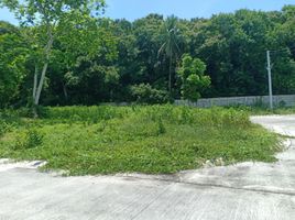 Terrain à vendre à San Juan, Calabarzon, San Juan, Batangas