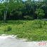 Terrain à vendre à San Juan, Calabarzon, San Juan, Batangas