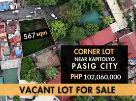  Land for sale in Pasig City, Eastern District, Pasig City