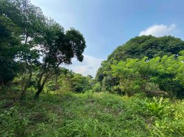  Land for sale in Pililla, Rizal, Pililla