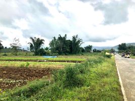  Land for sale in Claveria, Misamis Oriental, Claveria