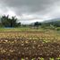  Land for sale in Claveria, Misamis Oriental, Claveria