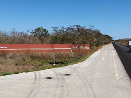  Grundstück zu verkaufen in Yaxkukul, Yucatan, Yaxkukul