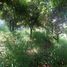  Land for sale in Temixco, Morelos, Temixco