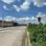 Terreno (Parcela) en venta en Salamanca, Guanajuato, Salamanca