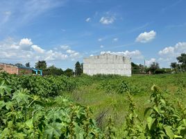  Terreno (Parcela) en venta en Salamanca, Guanajuato, Salamanca