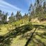  Terrain for sale in Ricaurte, Cuenca, Ricaurte