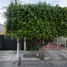 3 Bedroom House for sale in Guadalajara, Jalisco, Guadalajara