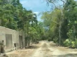  Terrain for sale in Cancun, Quintana Roo, Cancun