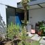 1 Bedroom Apartment for rent in Quito Pichincha, Quito, Quito, Pichincha