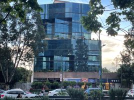 195 m² Office for rent in Alvaro Obregon, Mexico City, Alvaro Obregon